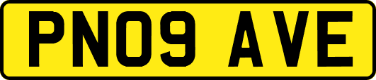 PN09AVE