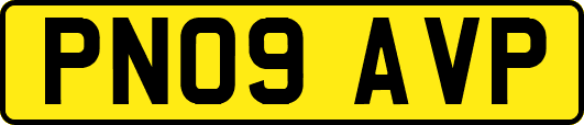 PN09AVP