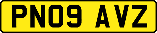 PN09AVZ
