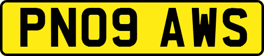 PN09AWS