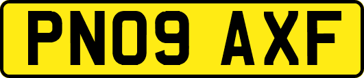 PN09AXF