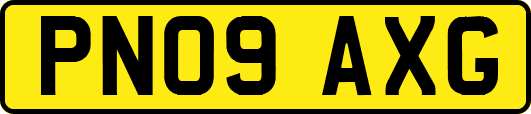 PN09AXG