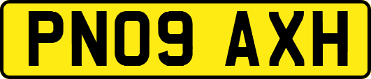 PN09AXH