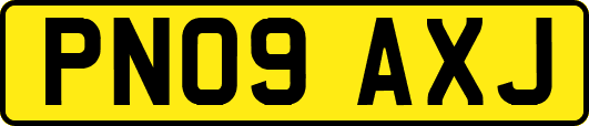 PN09AXJ