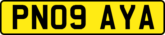 PN09AYA
