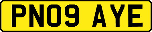 PN09AYE
