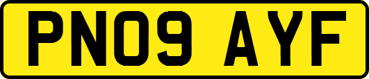PN09AYF