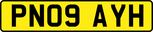 PN09AYH