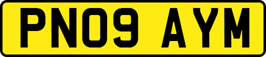 PN09AYM