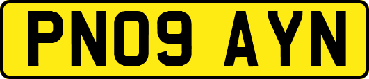 PN09AYN