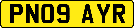 PN09AYR