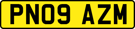 PN09AZM