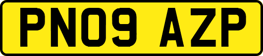 PN09AZP