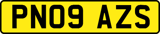PN09AZS
