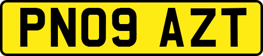 PN09AZT