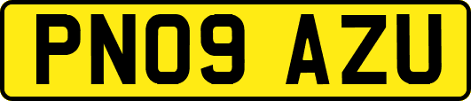 PN09AZU