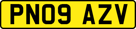 PN09AZV