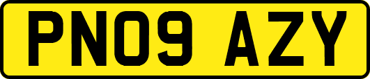 PN09AZY