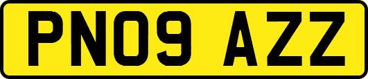 PN09AZZ