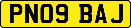 PN09BAJ