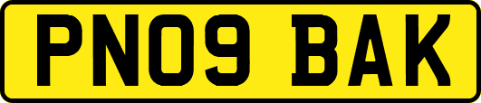 PN09BAK