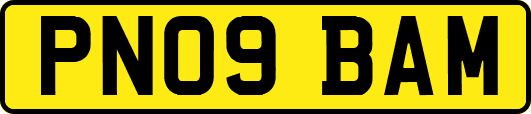 PN09BAM