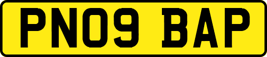 PN09BAP