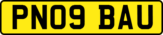 PN09BAU