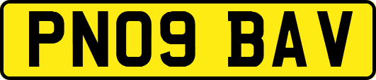 PN09BAV