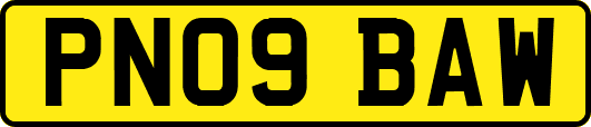PN09BAW