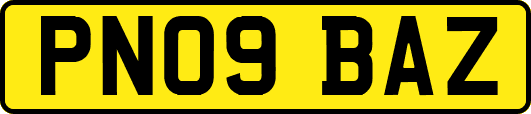 PN09BAZ