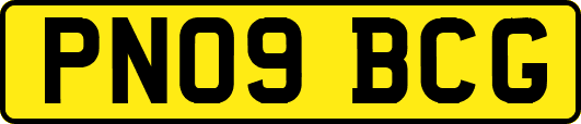 PN09BCG