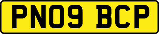 PN09BCP