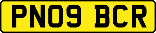 PN09BCR