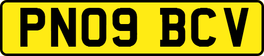 PN09BCV
