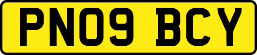 PN09BCY