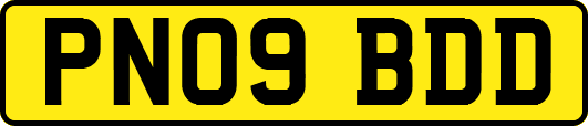 PN09BDD