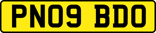 PN09BDO