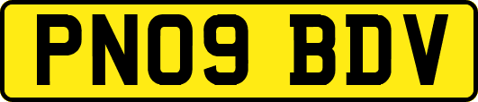 PN09BDV
