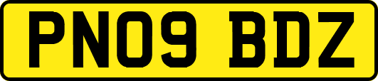 PN09BDZ