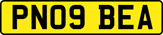 PN09BEA