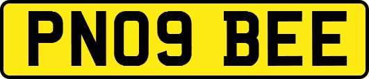 PN09BEE