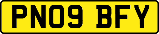 PN09BFY
