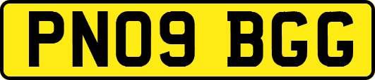 PN09BGG