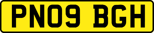 PN09BGH