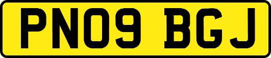 PN09BGJ