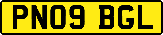 PN09BGL