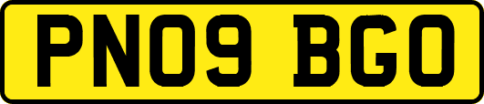 PN09BGO