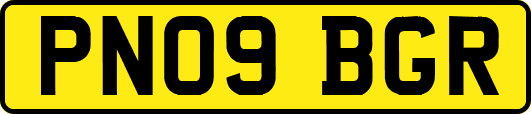PN09BGR