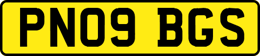 PN09BGS